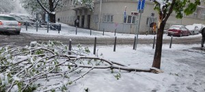 Оборене гране и у Илије Гарашанина